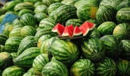 北美网红吃瓜事件真相,揭秘背后真相与争议