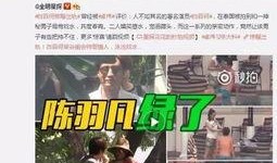 大顺妈妈爆料视频大全下载,揭秘幕后真相